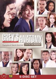 Grey’s Anatomy (season 10) แพทย์มือใหม่หัวใจเกินร้อย ปี 10 ซับไทย