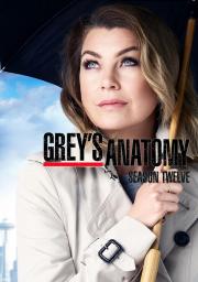 Grey’s Anatomy (season 12) แพทย์มือใหม่หัวใจเกินร้อย ปี 12 ซับไทย
