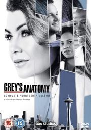 Grey’s Anatomy (season 14) แพทย์มือใหม่หัวใจเกินร้อย ปี 14 ซับไทย